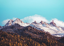 BG真人：开启沉浸式在线娱乐的新纪元