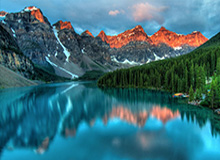 AG网址：连接未来的信任入口